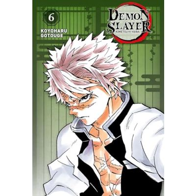 DEMON SLAYER  TOME 6