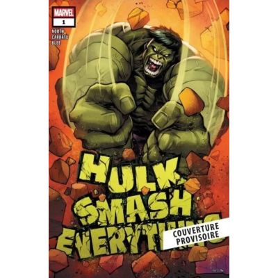 HULK SMASH EVERYTHING