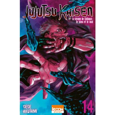 Jujutsu Kaisen T14
