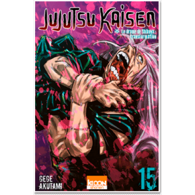 Jujutsu Kaisen T15