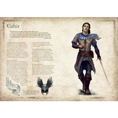 The Witcher Sorceleur :  Codex Le Sorceleur