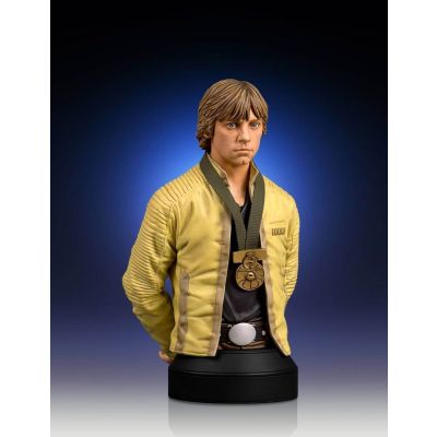 Star Wars A New Hope buste 1/6 Luke Skywalker Ceremonial Yavin 4