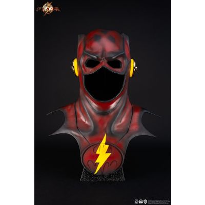 The Flash : Young Barry 1:1 Scale Cowl Replica 