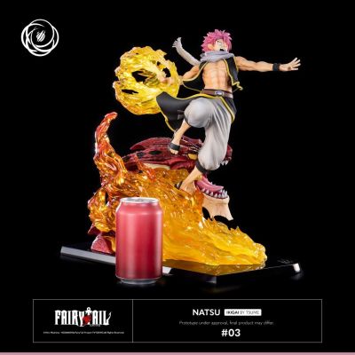 Fairy Tail Natsu Ikigai by  Tsume 