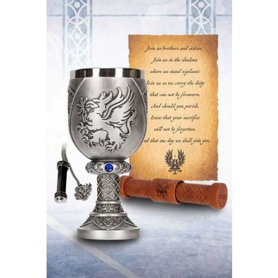 Dragon Age coffret cadeau Grey Warden Joining Bundle