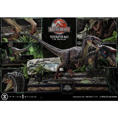 Jurassic Park III statuette Legacy Museum Collection 1/6 Velociraptor Male 40 cm